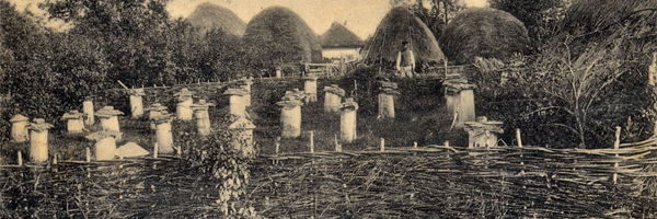 Image 01